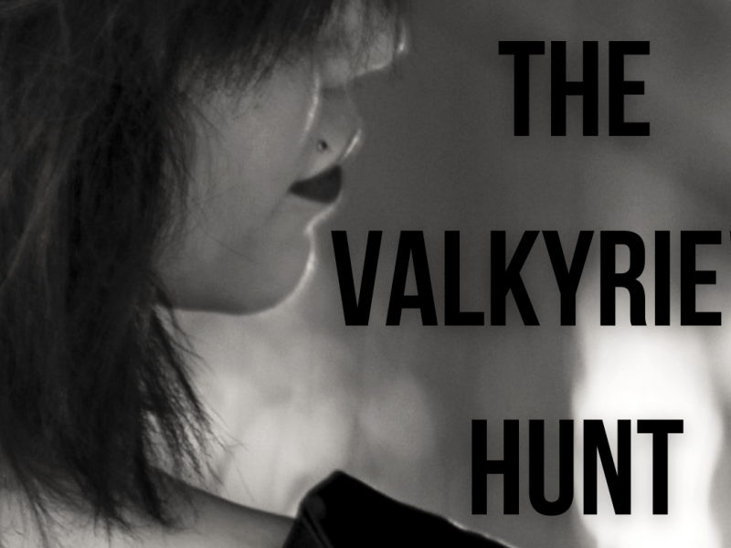 Cropped book cover with a smile and "The Valkyrie's Hunt title words visible